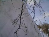 Фото0773.jpg