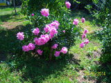 100_7140.JPG