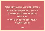 13991710-R3L8T8D-650-A-11.jpg