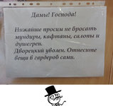 5233361.jpg