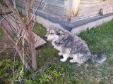 IMG_20130511_212545.jpg