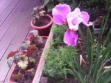 IMG_20150625_135439.jpg