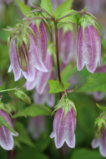 IMG_6279.JPG