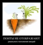 понты.jpg