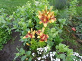 DSCN4579.JPG