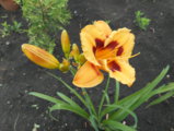 DSCN0353.JPG