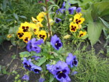 DSCN0441.JPG