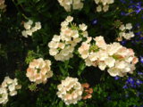 DSCN4853.JPG