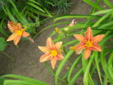 IMGP4868.JPG
