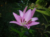 IMGP5368.JPG