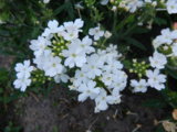 DSCN4776.JPG