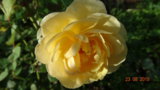 DSC01682.JPG