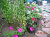 DSCN5650.JPG