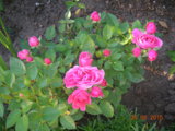 DSCN5671.JPG