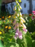 20150830_140140.jpg