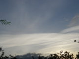 IMGP6913.JPG