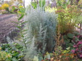 DSCN5725.JPG