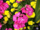 100_3990.JPG