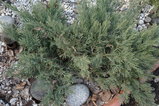 DSC07944.JPG