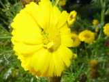 IMGP7160.JPG