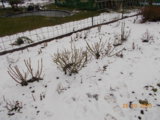 072.JPG