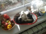 20151012_092802.jpg