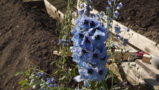 DSCF1682.JPG