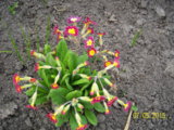 100_3371.JPG