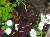 100_6349.JPG