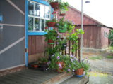 100_6243.JPG