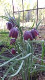 20150510_165121.jpg