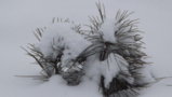 DSCF1765.JPG