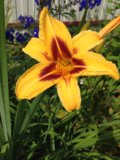IMG_3152.JPG