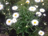 20140718_125634.jpg