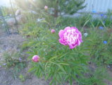 DSC01051.JPG