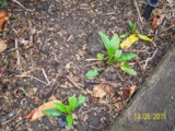 100_6293.JPG