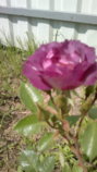 2015-06-12-2046.jpg