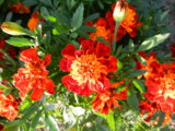 DSCN4996.JPG