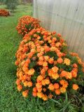 DSCN5255.JPG