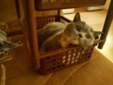 IMG_20160526_083101.jpg