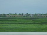 IMGP8163.JPG
