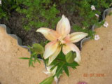 DSCN6008.JPG