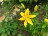 DSCN6010.JPG
