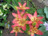 DSCN6021.JPG