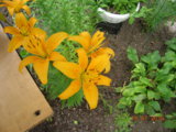 DSCN6022.JPG