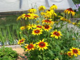 DSCN6057.JPG