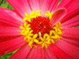 IMGP8900.JPG