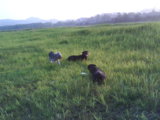 DSC00358.JPG