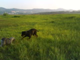 DSC00359.JPG