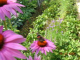 DSCN6083.JPG